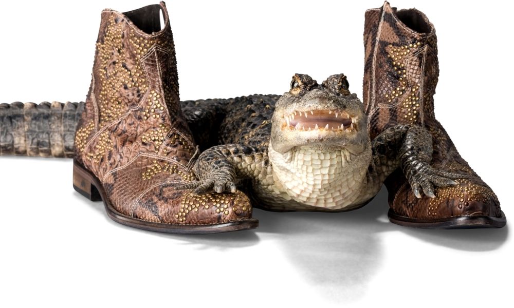 How to Properly Care for Alligator Shoes