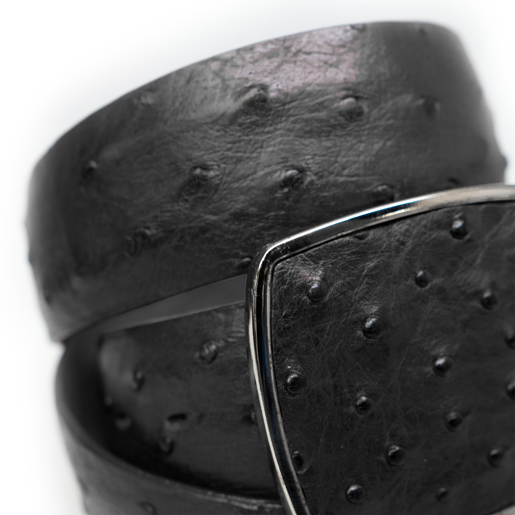 Los Altos Black Ostrich Quill Belt with Metal Buckle - Dudes Boutique