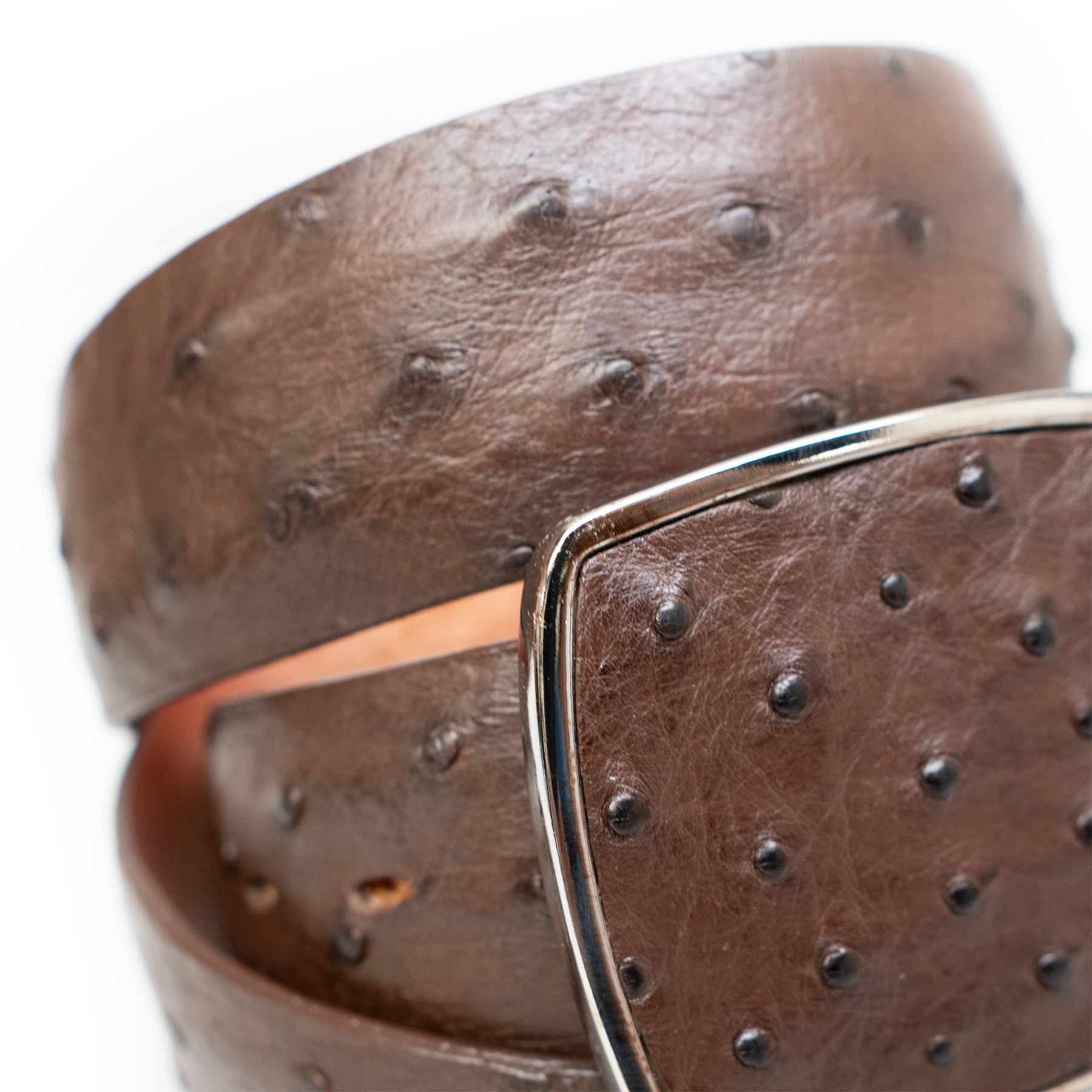 Los Altos Brown Ostrich Quill Belt with Metal Buckle - Dudes Boutique