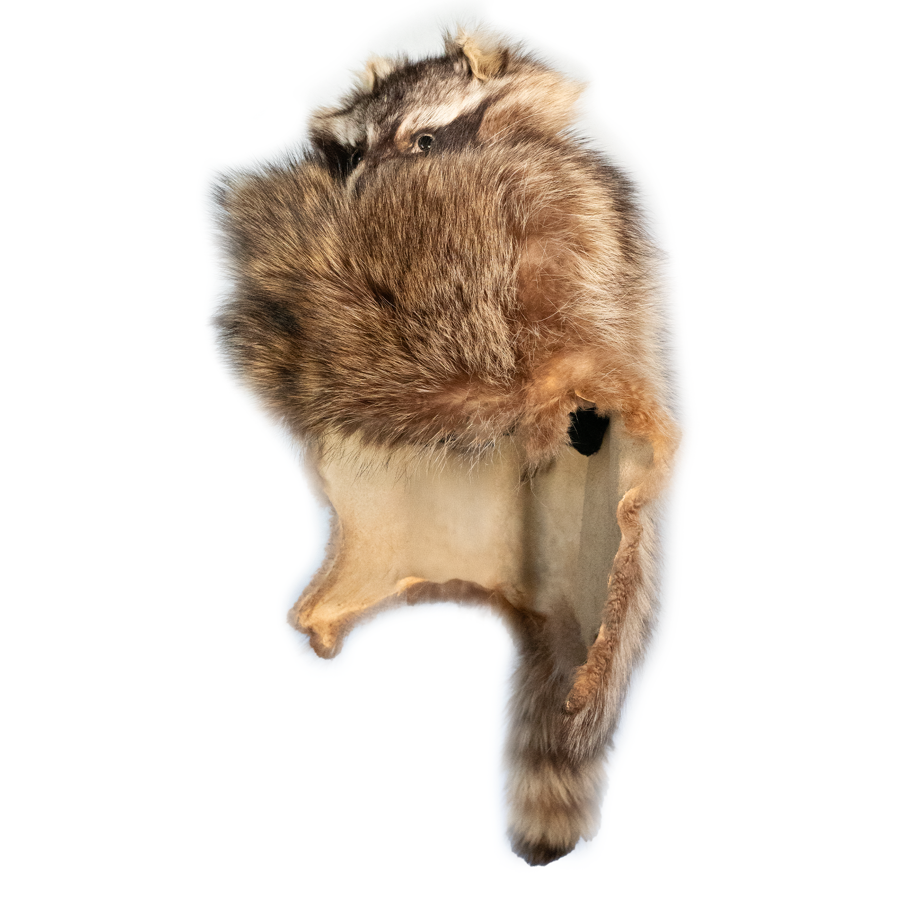 Kashani Natural Raccoon Fur Hat with Head & Tail - Dudes Boutique
