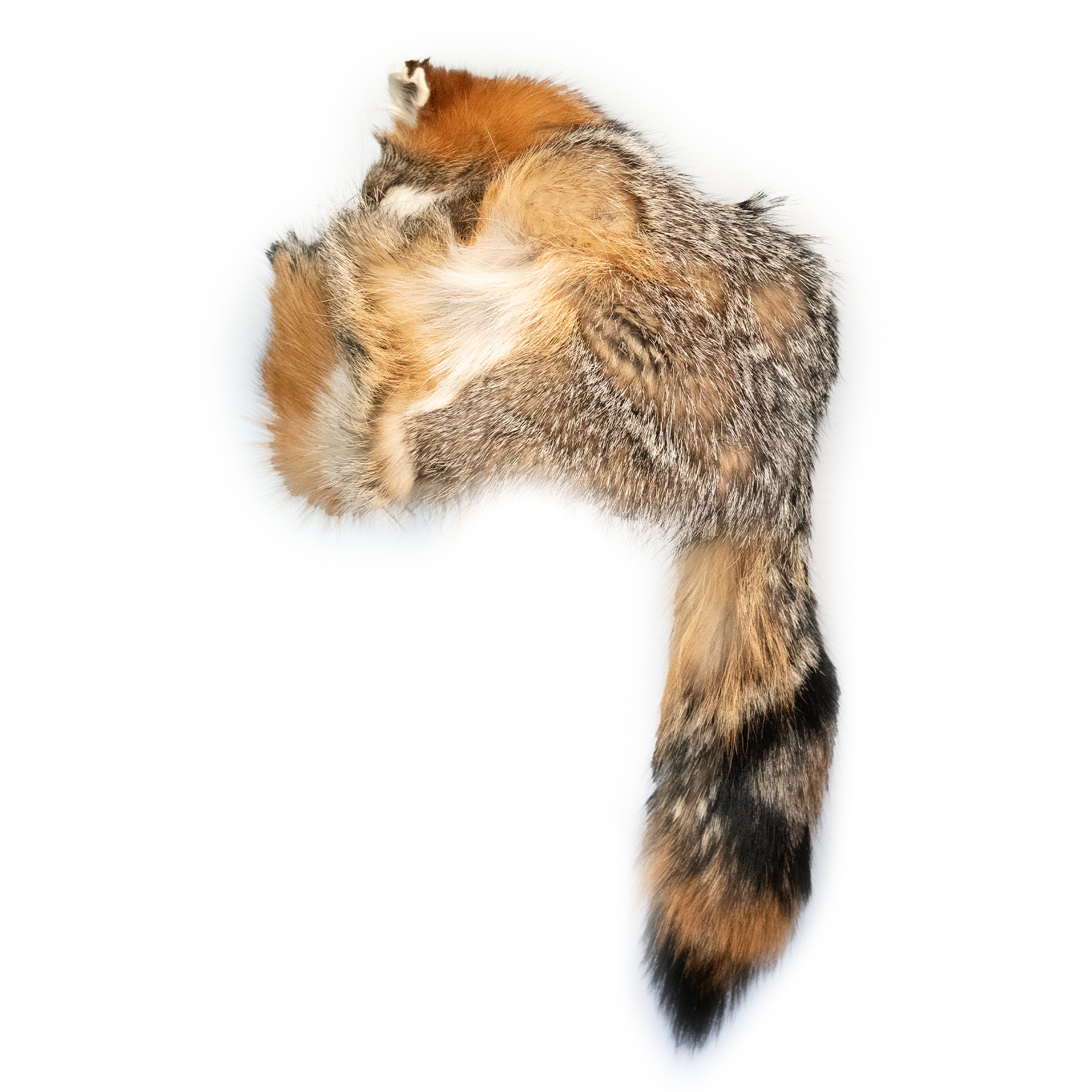 Kashani Natural Grey Fox Fur Hat with Head & Tail - Dudes Boutique