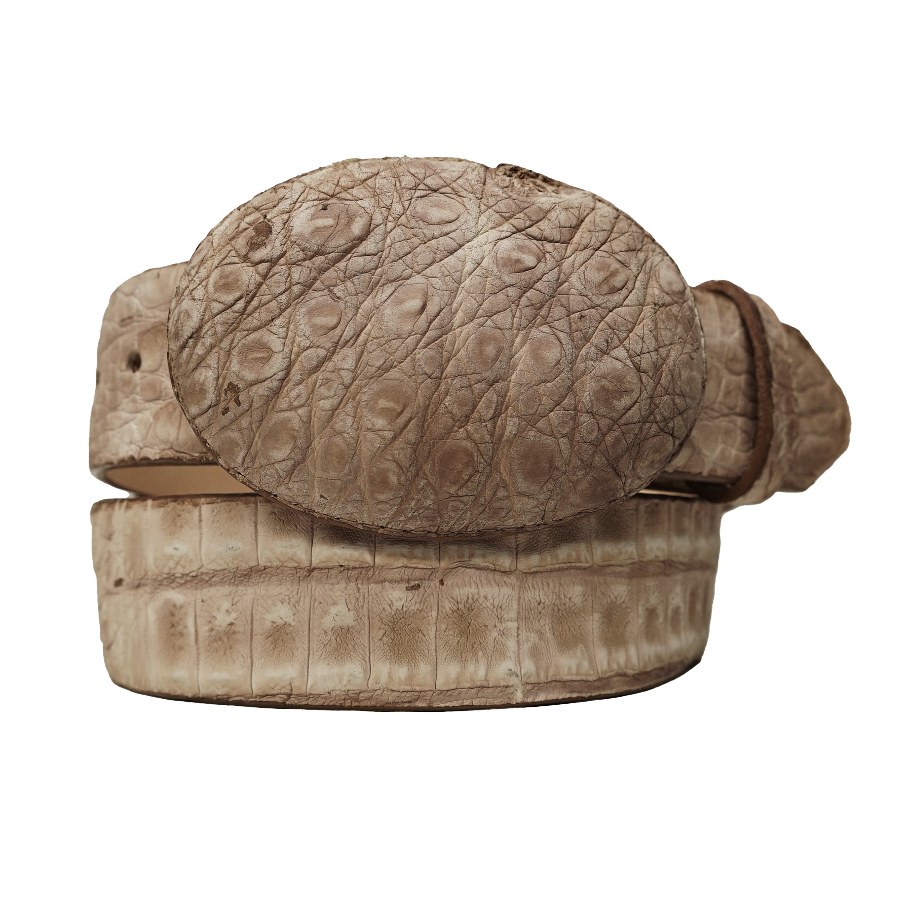 Los Altos Caiman Crocodile Hornback Lisboa Brown Belt