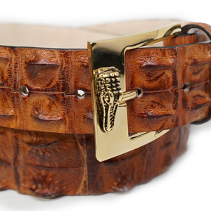 Mauri 0100/40 Cognac Large Hornback Crocodile Belt - Dudes Boutique