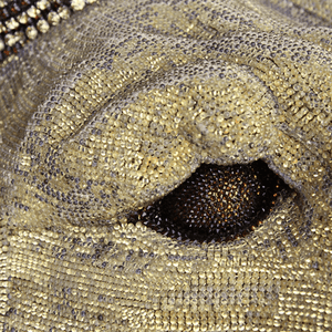 b.b. Simon Gold Crystal Lion Mane - Dudes Boutique