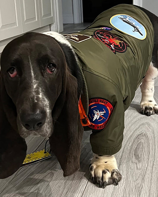 Top Gun Dog Bomber Jacket