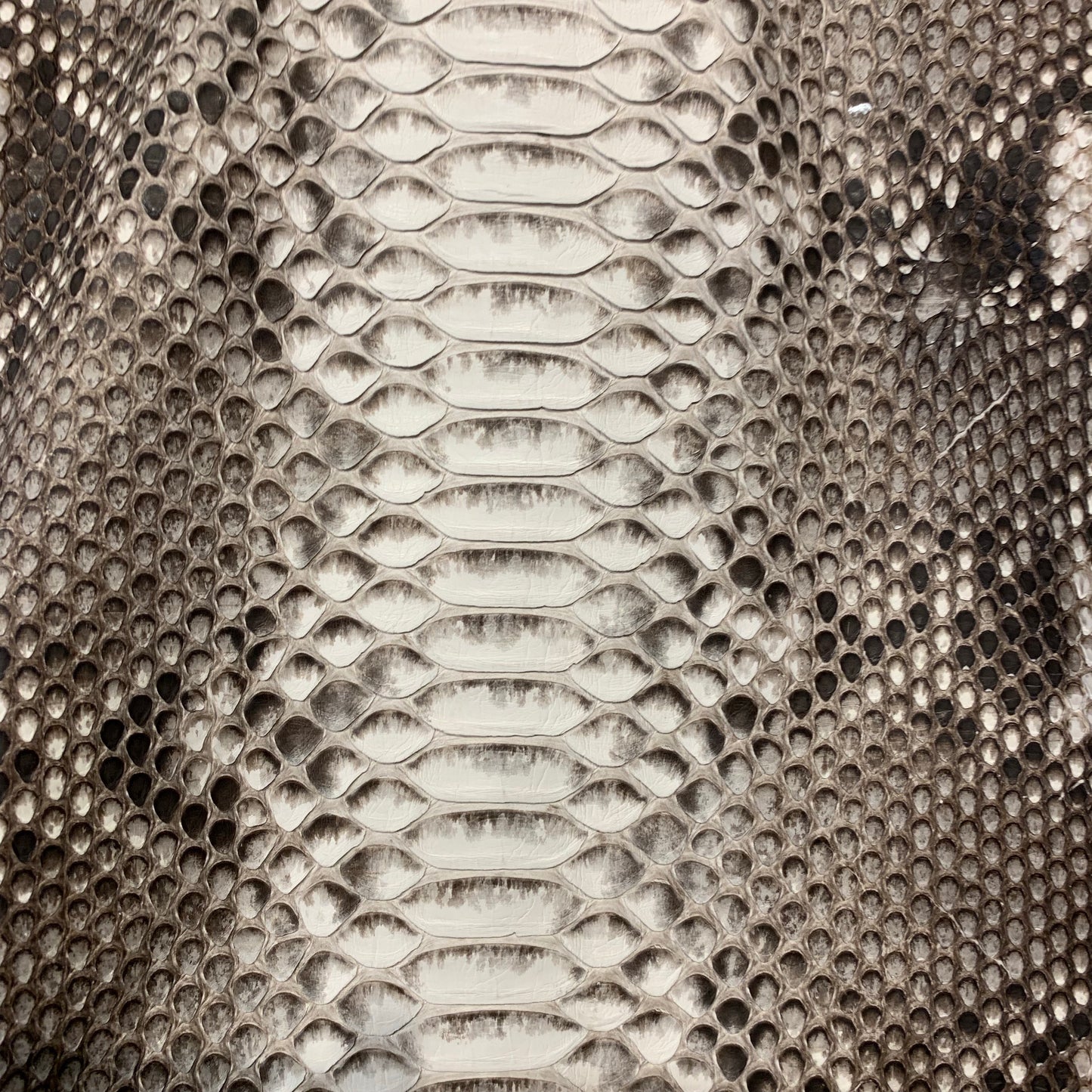 Kashani Ladies Arctic Fox White Python Jacket - Dudes Boutique
