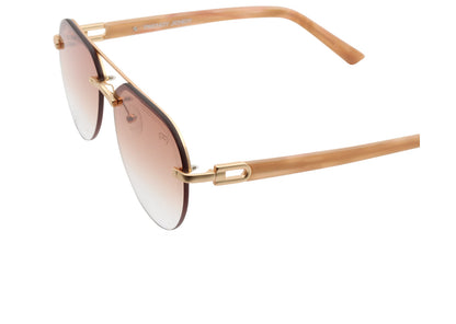 Gables Unisex Sunglasses – Stylish Frames, Bold Look
