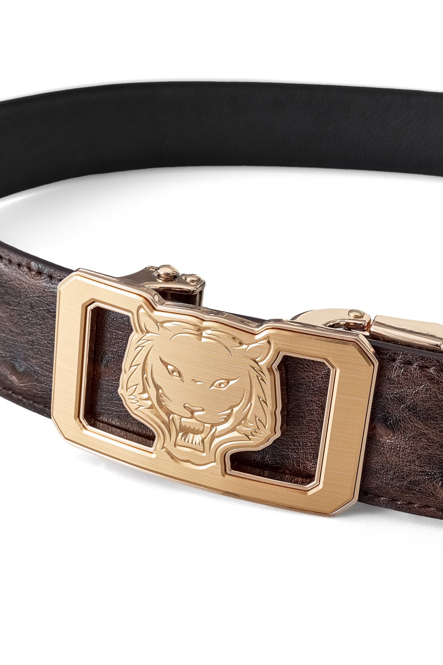 Ostrich-Emb. Leather Lion Auto BKL Belt – Gold Ed. GOLD/COFFEE