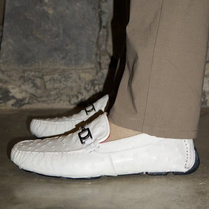 Bolonia White