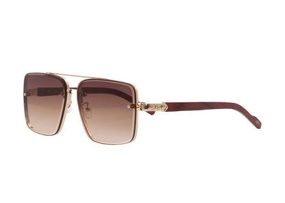 St. Augustine Xclusive – Premium Designer Sunglasses
