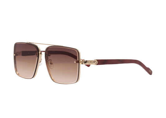 St. Augustine Xclusive – Premium Designer Sunglasses