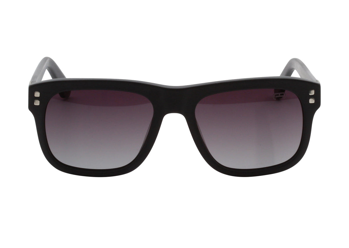 Palmetto Sunglasses – Stylish Polarized Acetate Frames for Everyday Wear