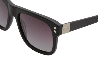Palmetto Sunglasses – Stylish Polarized Acetate Frames for Everyday Wear