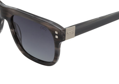 Palmetto Sunglasses – Stylish Polarized Acetate Frames for Everyday Wear