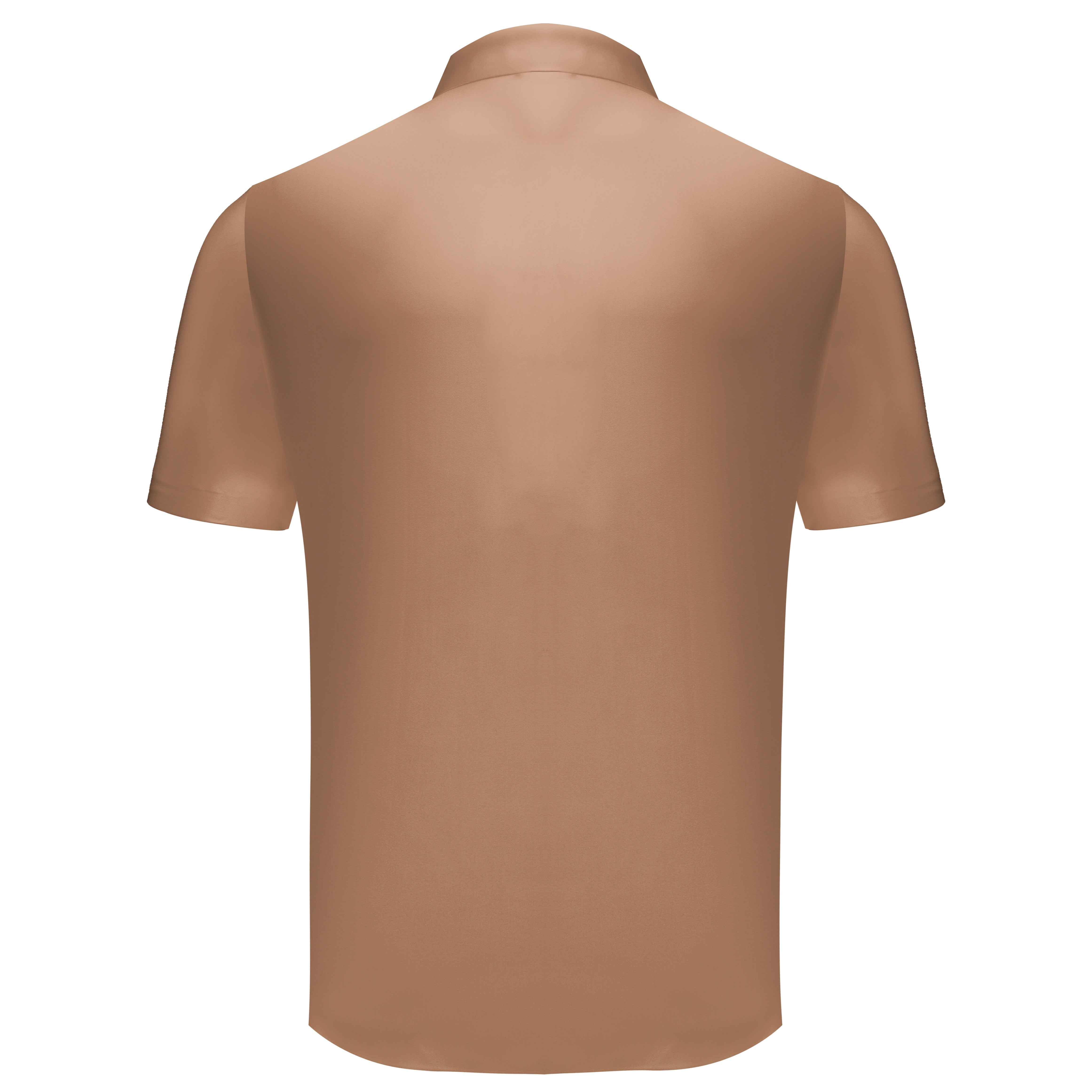 Timeless Trend Polo Shirt BROWN