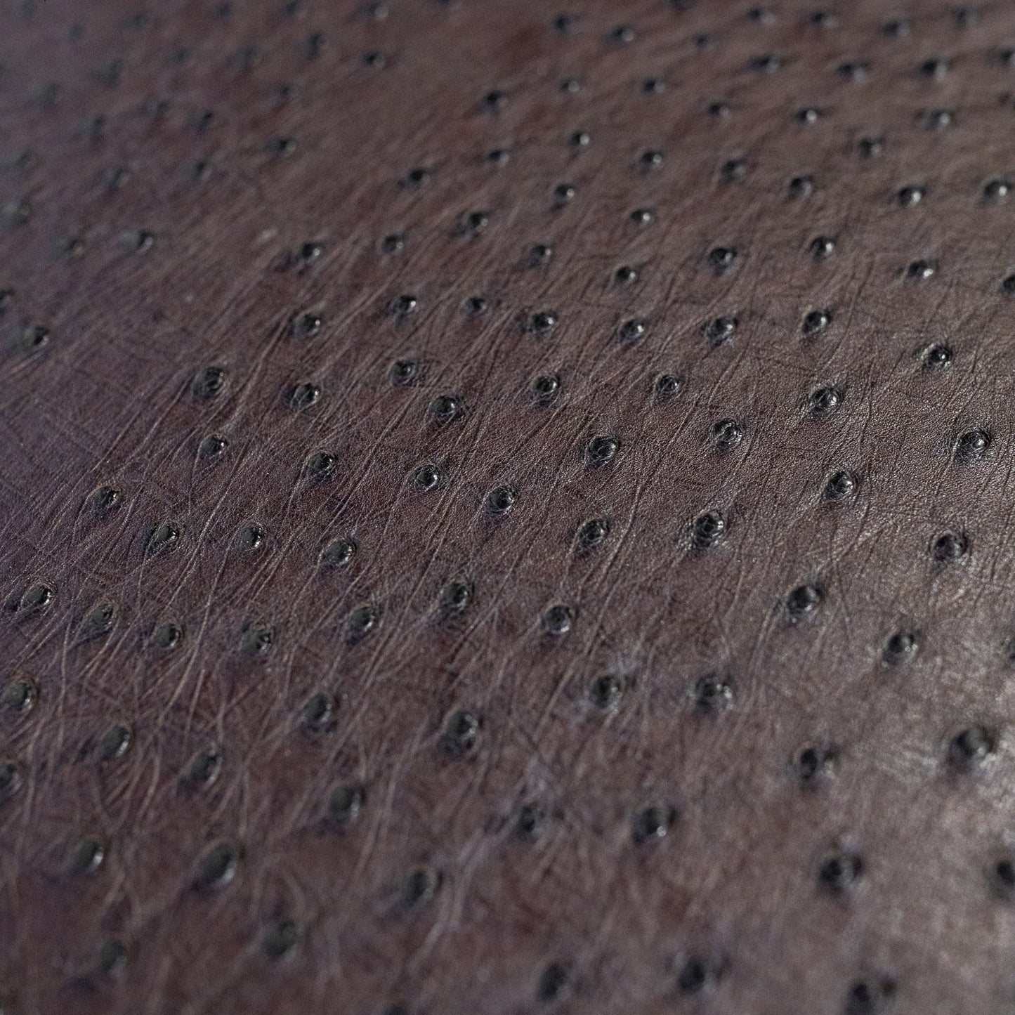 Marco Di Milano Salento Full Ostrich Quill Leather Lounge Chair - Dudes Boutique
