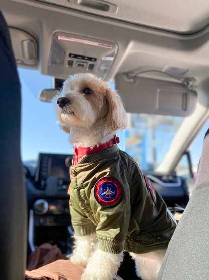 Top Gun Dog Bomber Jacket