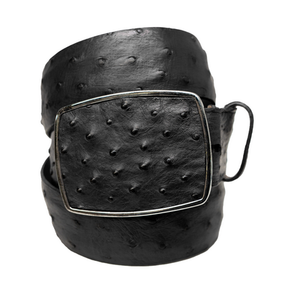 Los Altos Black Ostrich Quill Belt with Metal Buckle - Dudes Boutique