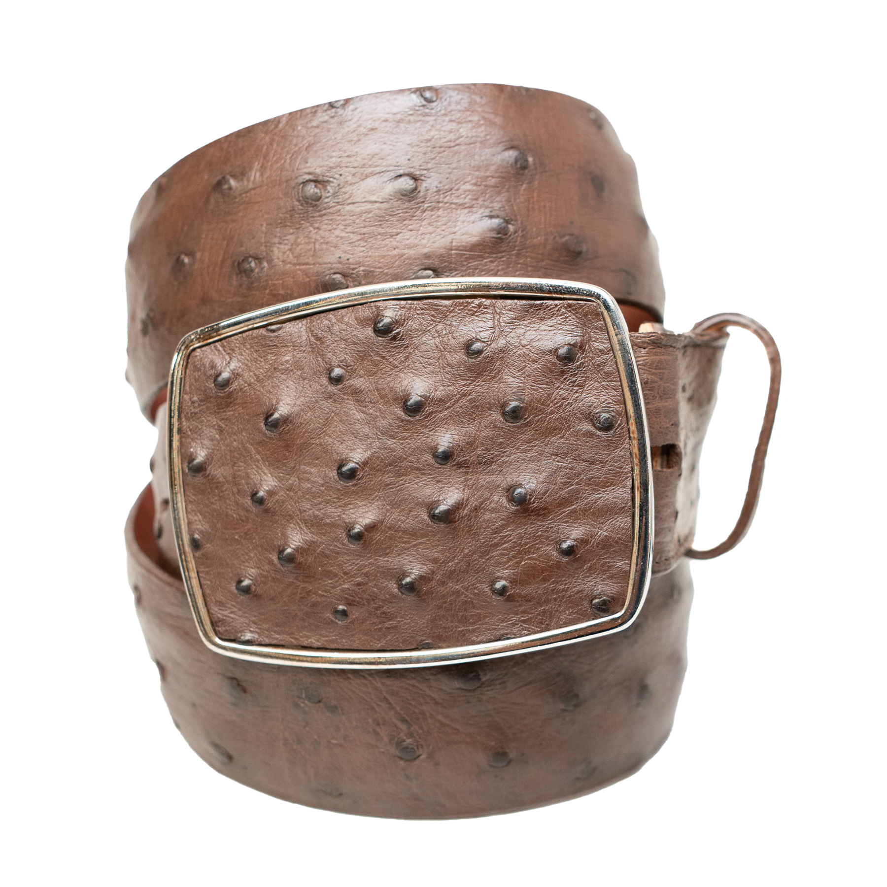 Los Altos Brown Ostrich Quill Belt with Metal Buckle - Dudes Boutique