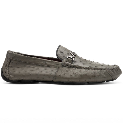 Bolonia Gray
