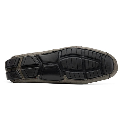 Bolonia Gray
