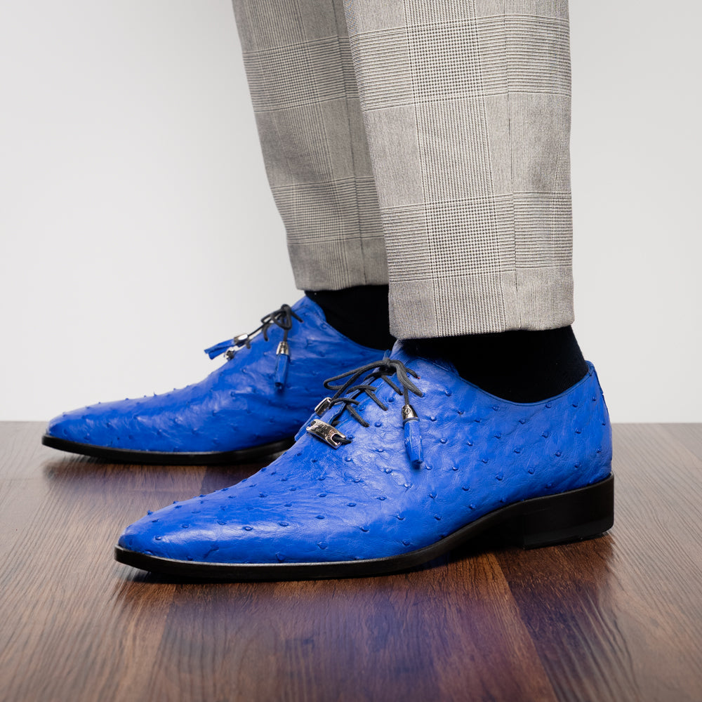 Criss Electric Blue