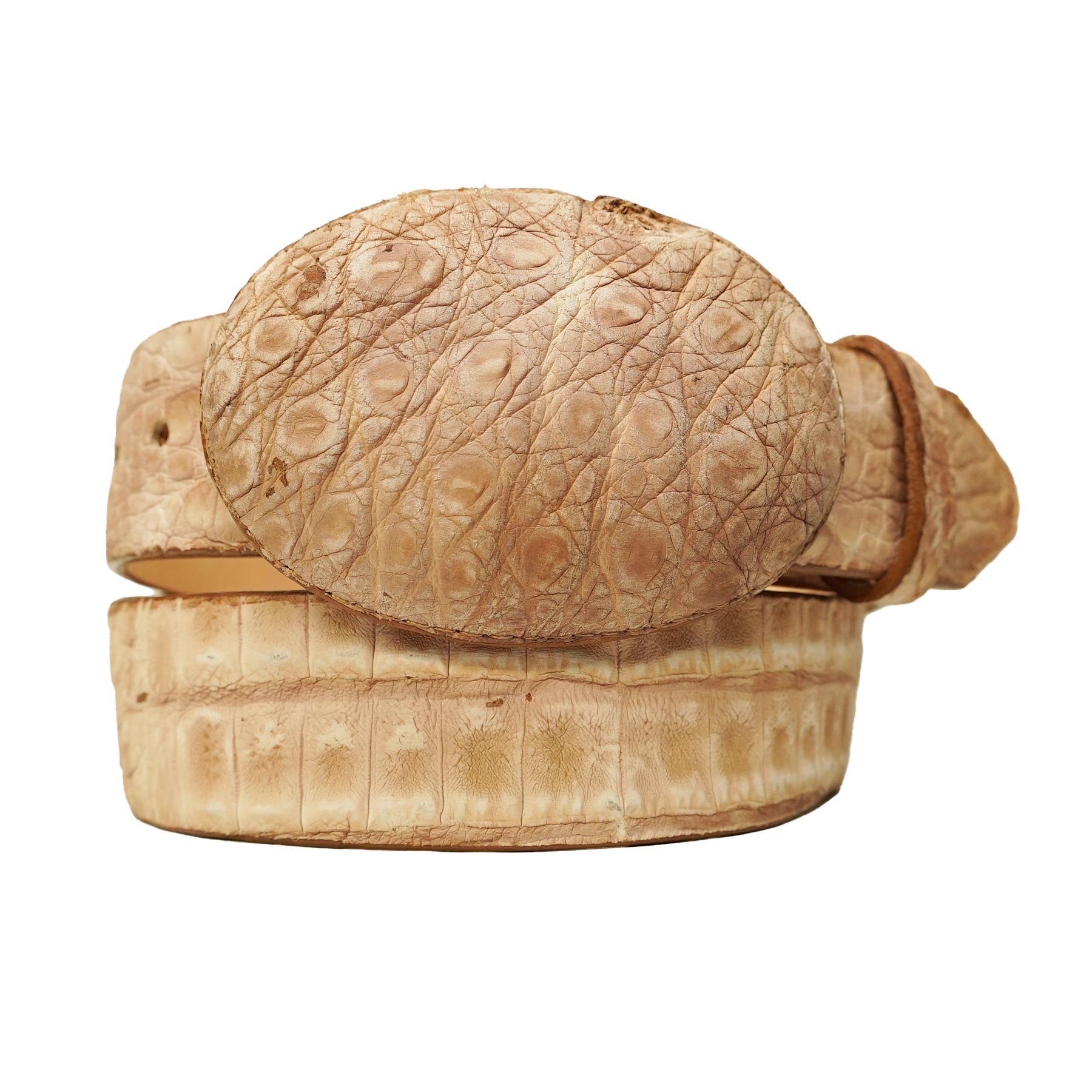 Los Altos Caiman Crocodile Hornback Oryx Suede Finish Belt