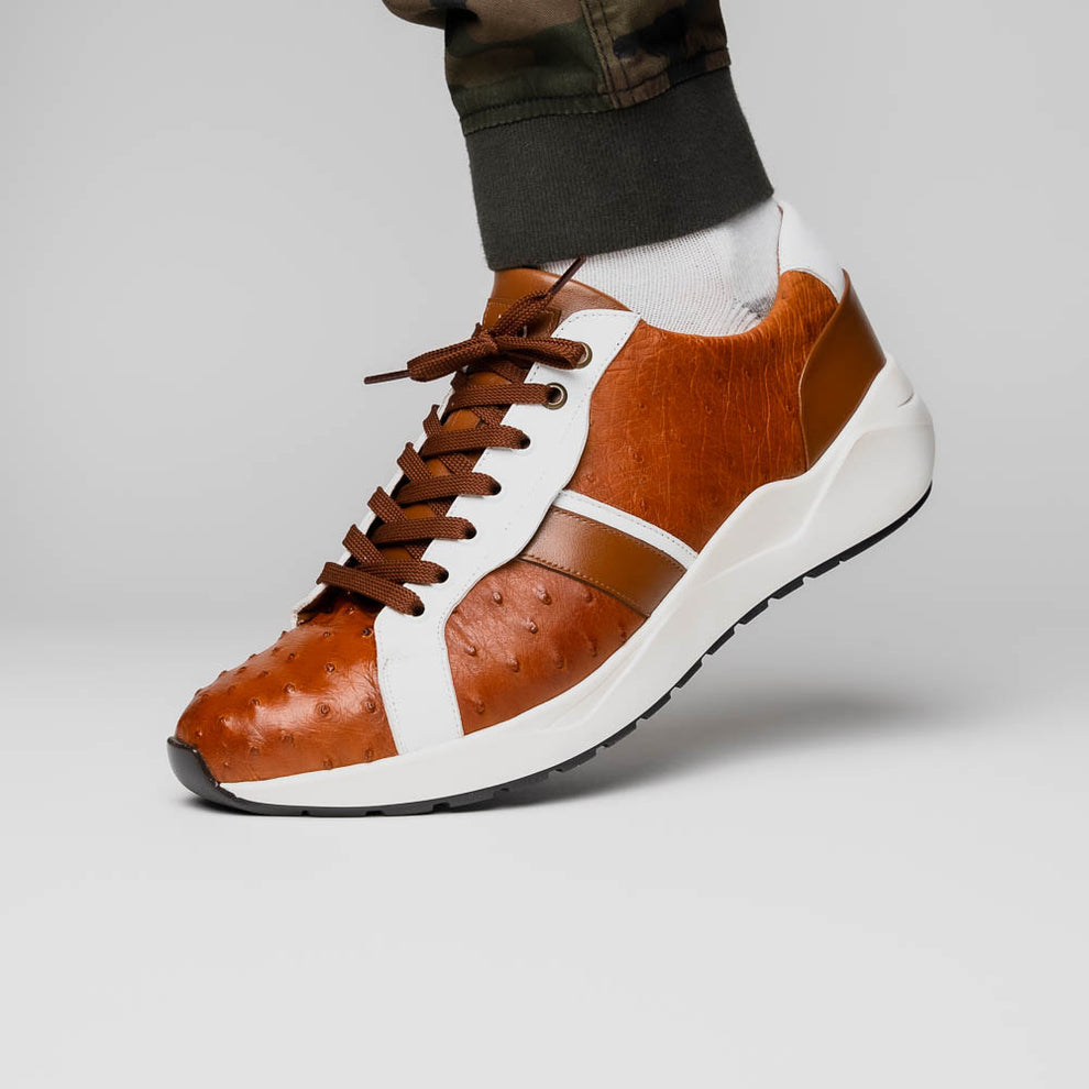 Marco Di Milano Lyon II Brandy / White Ostrich Quill & Calfskin Sneakers - Dudes Boutique