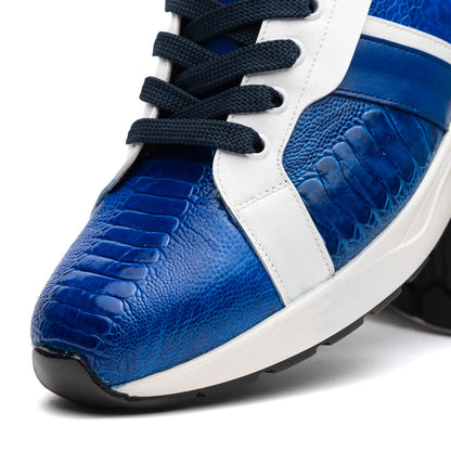 Lyon Blue / White