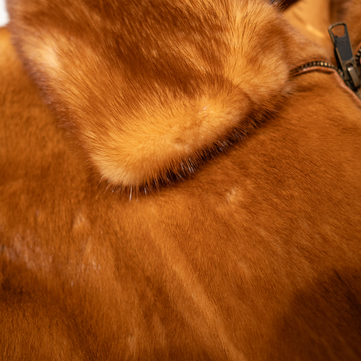 Kashani Whiskey Full Skin Mink Bomber Jacket - Dudes Boutique
