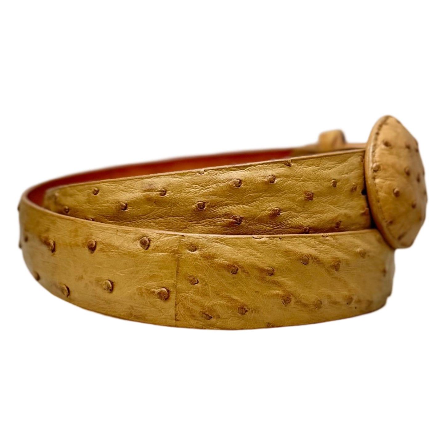 Los Altos Buttercup Ostrich Quill Belt with Oval Buckle - Dudes Boutique
