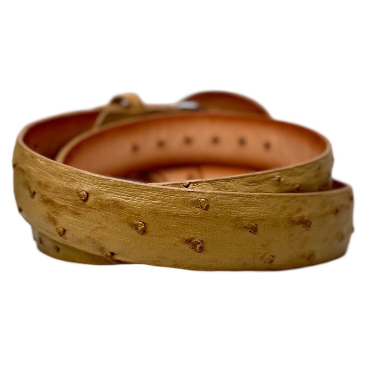 Los Altos Buttercup Ostrich Quill Belt with Oval Buckle - Dudes Boutique