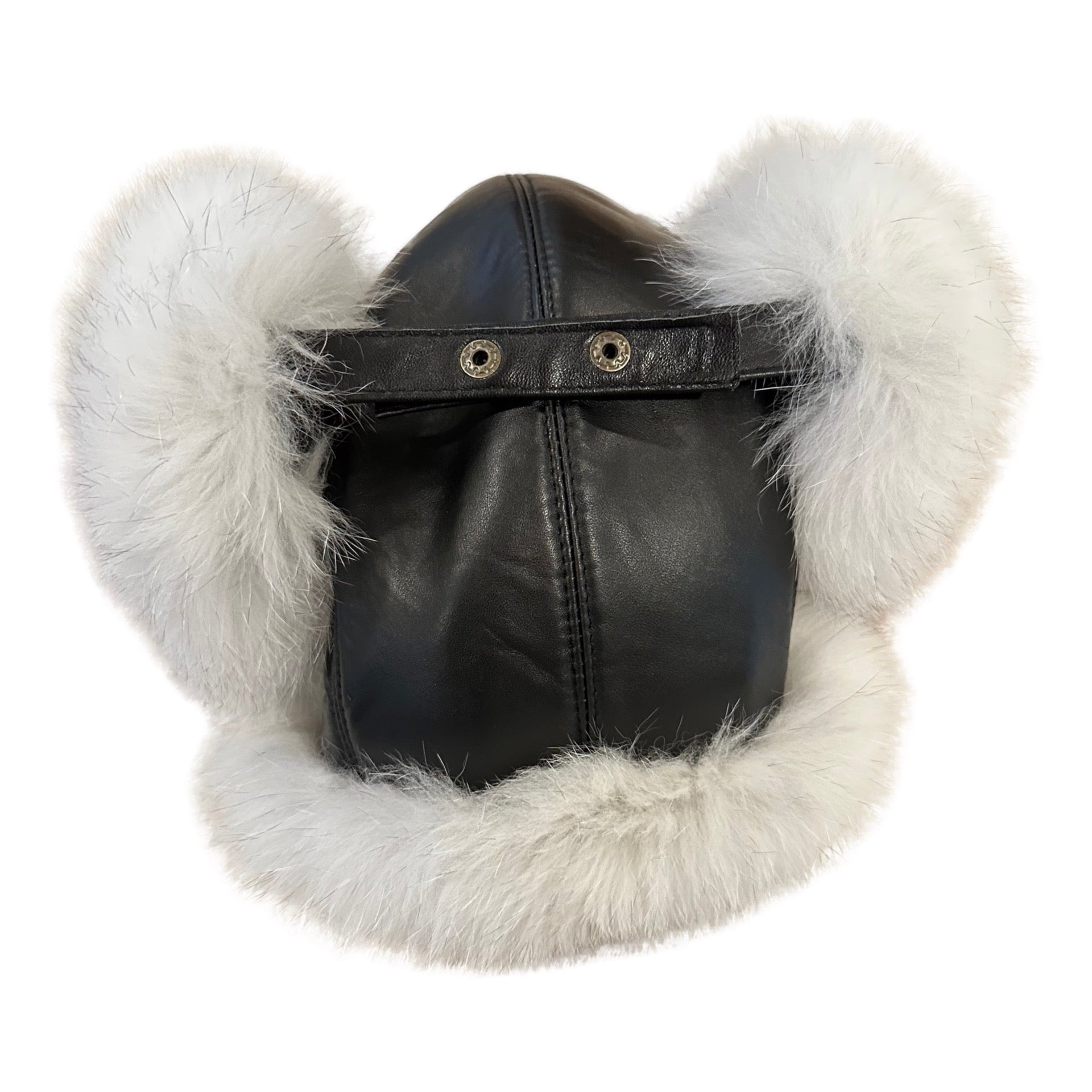 Arctic fox deals trapper hat