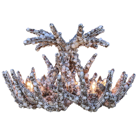 b.b. Simon CH-701-SHELL Crystal Chandelier - Dudes Boutique