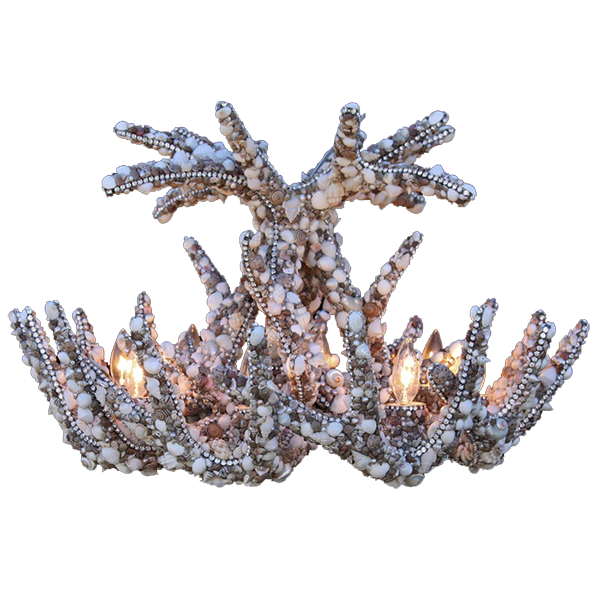 b.b. Simon CH-701-SHELL Crystal Chandelier