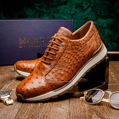 Scanno Antique Cognac