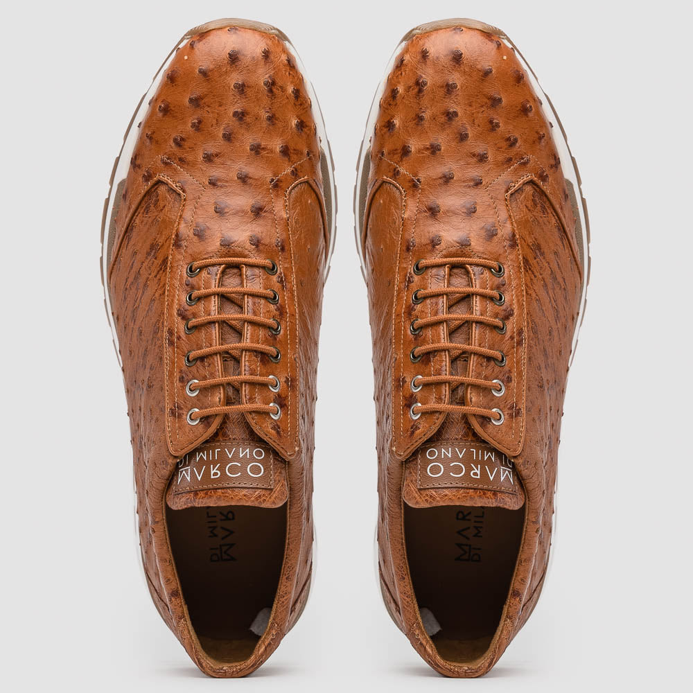 Scanno Antique Cognac