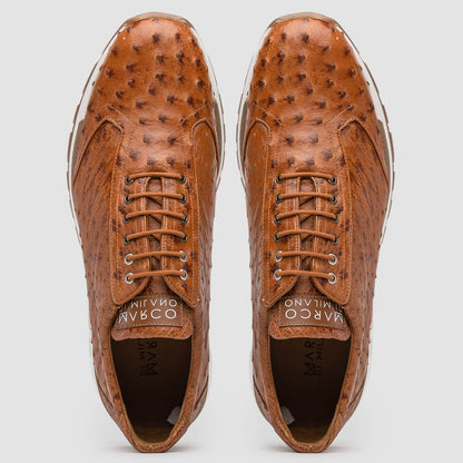 Scanno Antique Cognac