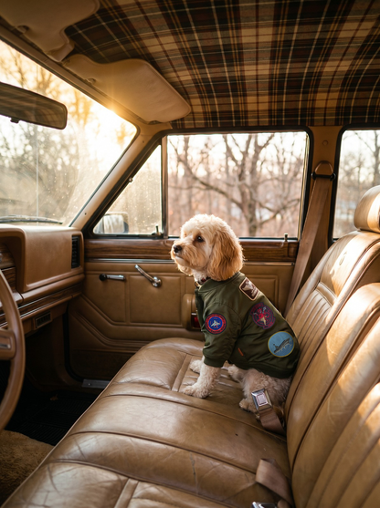 Top Gun Dog Bomber Jacket