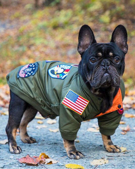 Top Gun Dog Bomber Jacket