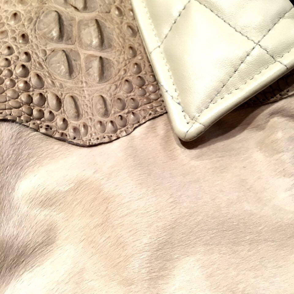 G-Gator Cream Pony Hair/Alligator Blouson Jacket - Dudes Boutique