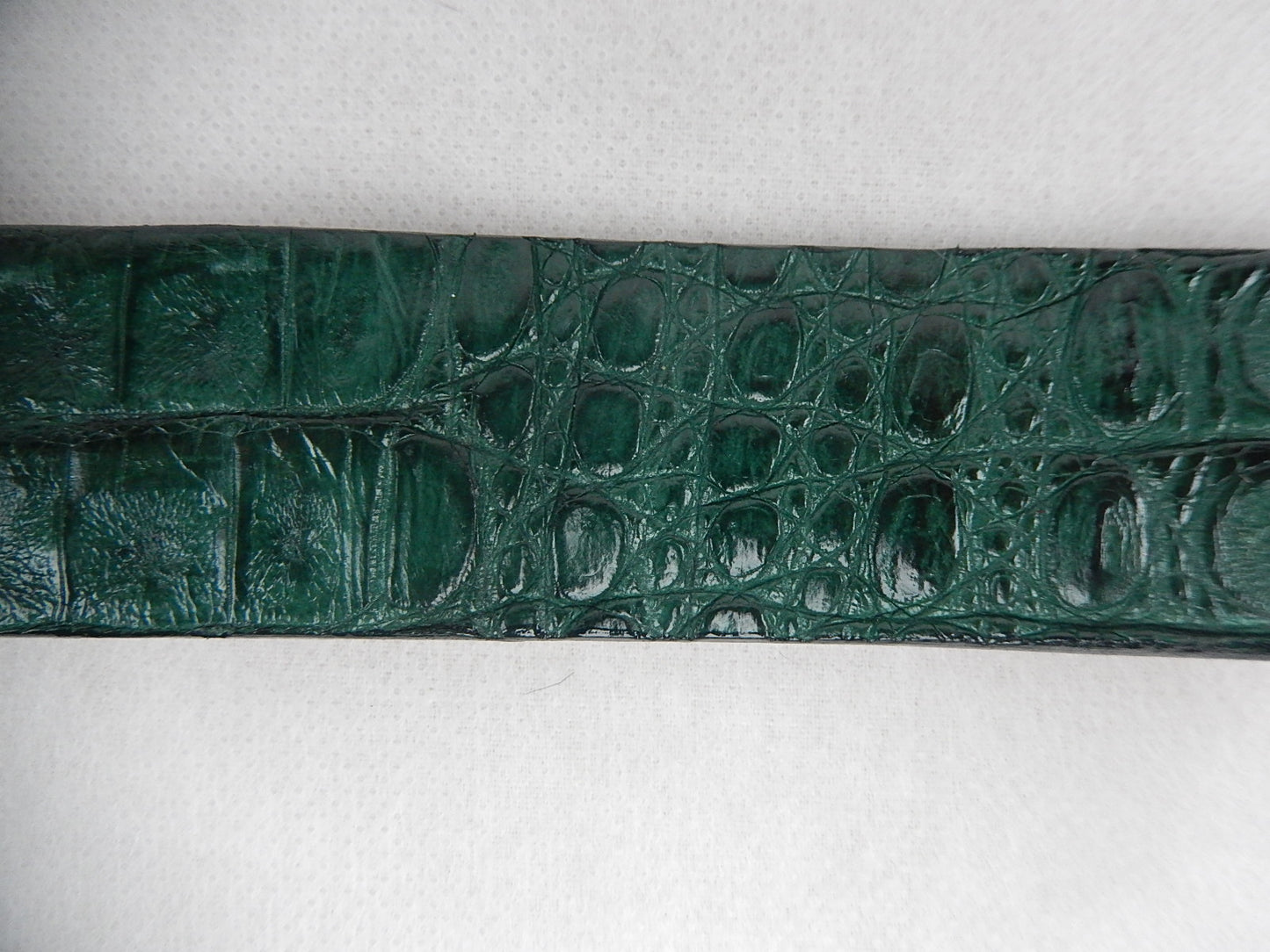 G-Gator Hornback Crocodile Green Belt - Dudes Boutique