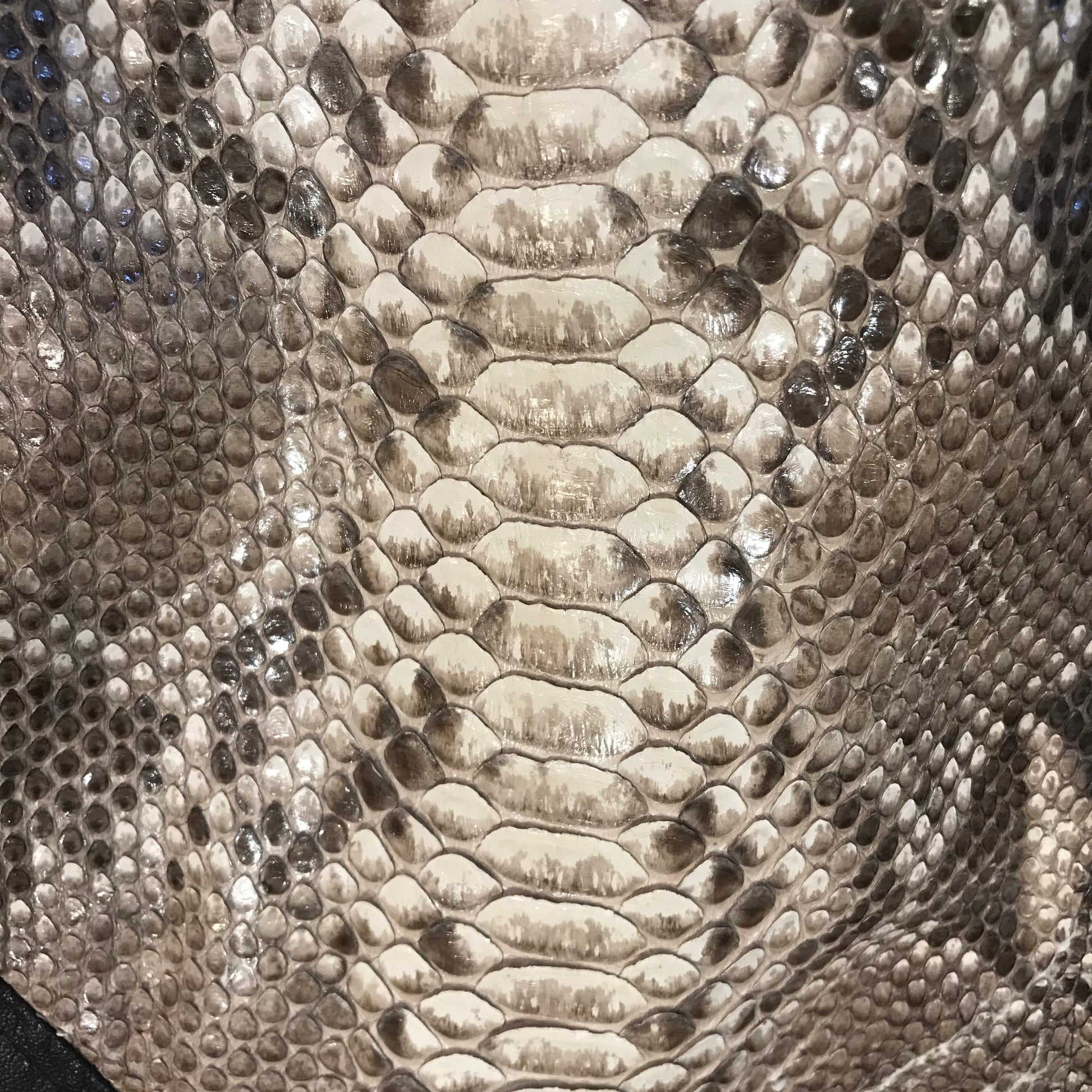Kashani Dark Brown Natural Python Bomber Jacket - Dudes Boutique
